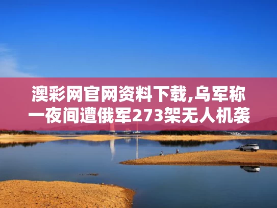 澳彩网官网资料下载,乌军称一夜间遭俄军273架无人机袭击