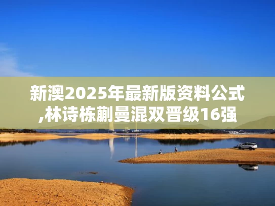 新澳2025年最新版资料公式,林诗栋蒯曼混双晋级16强