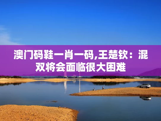 澳门码鞋一肖一码,王楚钦：混双将会面临很大困难