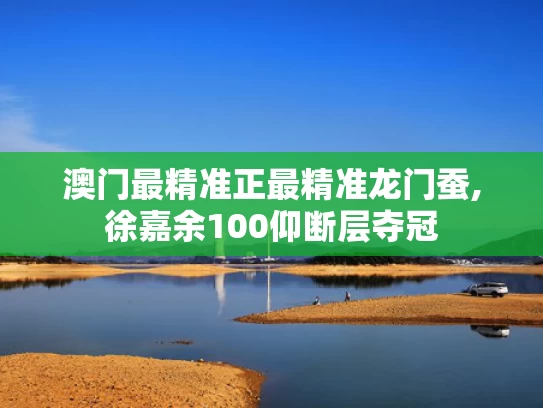 澳门最精准正最精准龙门蚕,徐嘉余100仰断层夺冠