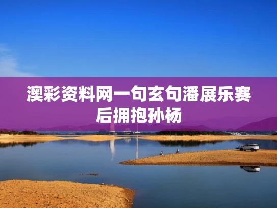 澳彩资料网一句玄句	潘展乐赛后拥抱孙杨