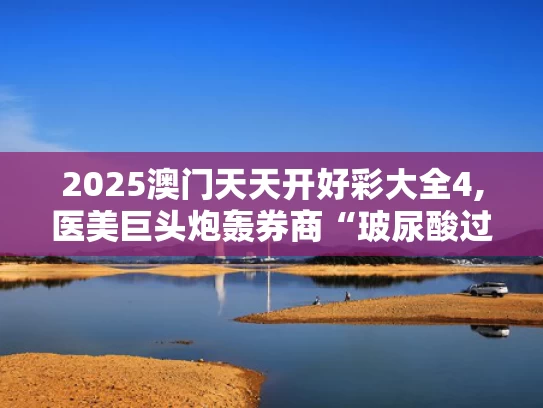 2025澳门天天开好彩大全4,医美巨头炮轰券商“玻尿酸过时”论