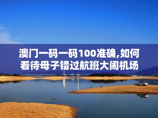 澳门一码一码100准确,如何看待母子错过航班大闹机场