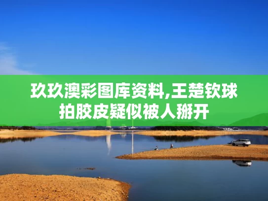 玖玖澳彩图库资料,王楚钦球拍胶皮疑似被人掰开