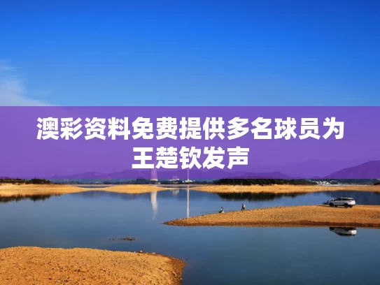 澳彩资料免费提供	多名球员为王楚钦发声