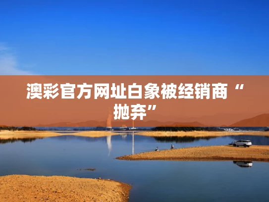 澳彩官方网址	白象被经销商“抛弃”