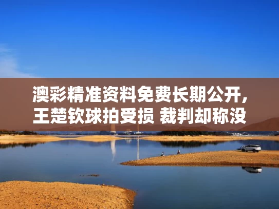 澳彩精准资料免费长期公开,王楚钦球拍受损 裁判却称没关系