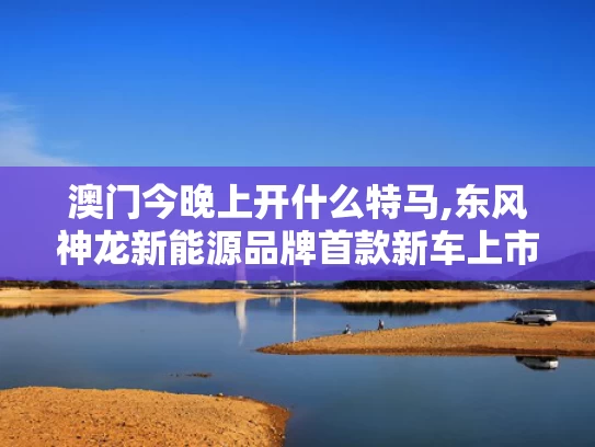 澳门今晚上开什么特马,东风神龙新能源品牌首款新车上市