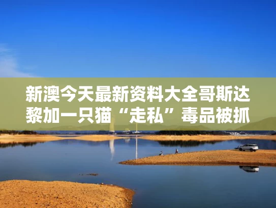新澳今天最新资料大全	哥斯达黎加一只猫“走私”毒品被抓