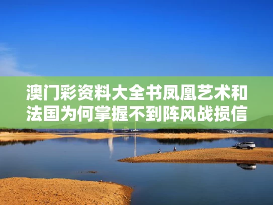 澳门彩资料大全书凤凰艺术和法国为何掌握不到阵风战损信息与法国为什么不战而降