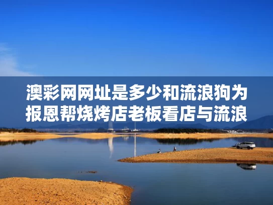澳彩网网址是多少和流浪狗为报恩帮烧烤店老板看店与流浪狗报复