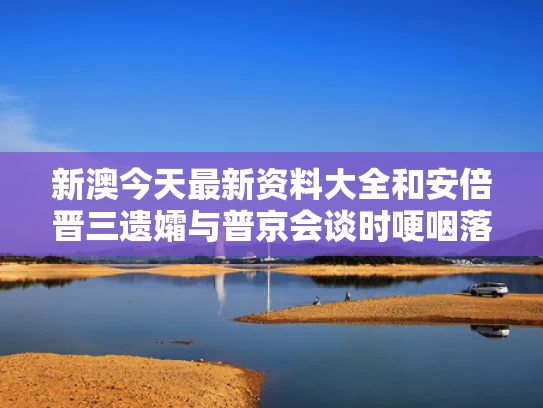 新澳今天最新资料大全	和安倍晋三遗孀与普京会谈时哽咽落泪与安倍晋三和普京