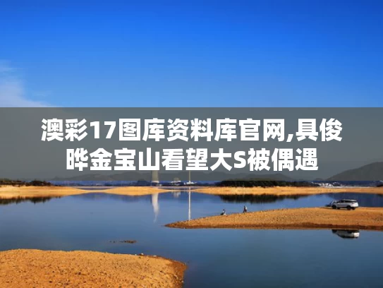 澳彩17图库资料库官网,具俊晔金宝山看望大S被偶遇