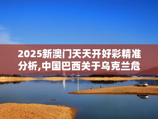 2025新澳门天天开好彩精准分析,中国巴西关于乌克兰危机的联合声明