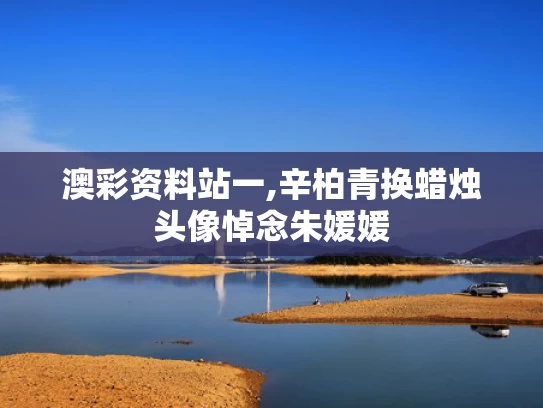 澳彩资料站一,辛柏青换蜡烛头像悼念朱媛媛