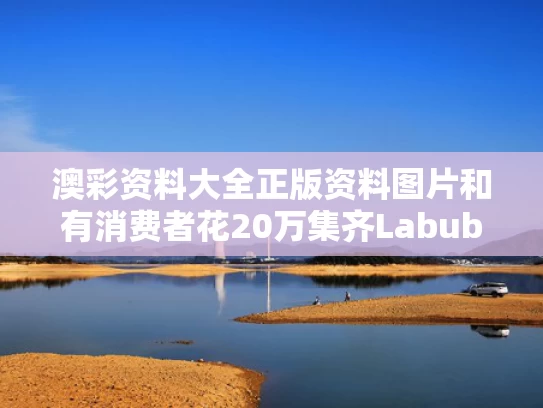 澳彩资料大全正版资料图片和有消费者花20万集齐Labubu与如果消费者花光所有收入,购买物品会全部是抵挡品吗