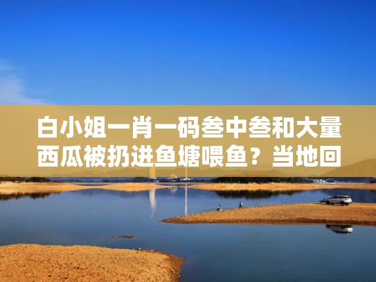白小姐一肖一码叁中叁和大量西瓜被扔进鱼塘喂鱼？当地回应与西瓜扔水里
