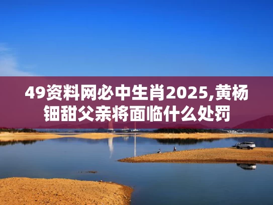 49资料网必中生肖2025,黄杨钿甜父亲将面临什么处罚