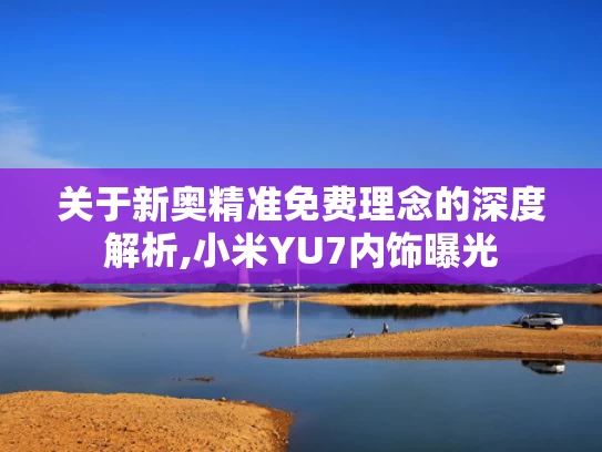 关于新奥精准免费理念的深度解析,小米YU7内饰曝光