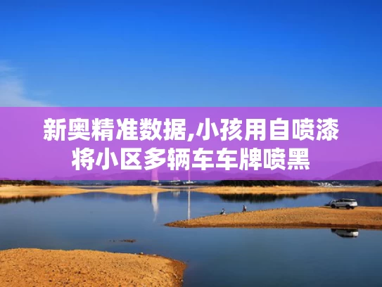 新奥精准数据,小孩用自喷漆将小区多辆车车牌喷黑