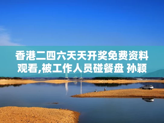 香港二四六天天开奖免费资料观看,被工作人员碰餐盘 孙颖莎急忙制止