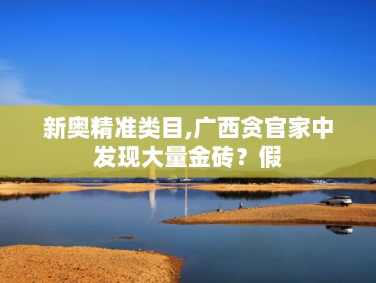 新奥精准类目,广西贪官家中发现大量金砖？假