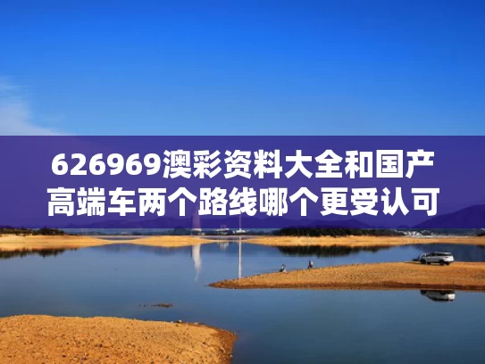 626969澳彩资料大全	和国产高端车两个路线哪个更受认可与国产车的高端品牌有哪些