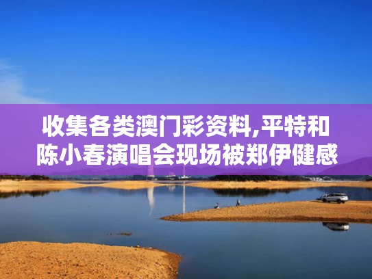 收集各类澳门彩资料,平特和陈小春演唱会现场被郑伊健感动落泪与陈小春和郑伊健的歌曲大全
