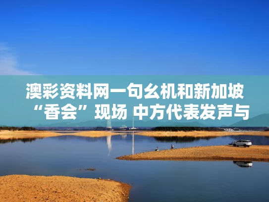 澳彩资料网一句幺机和新加坡“香会”现场 中方代表发声与