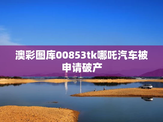 澳彩图库00853tk	哪吒汽车被申请破产