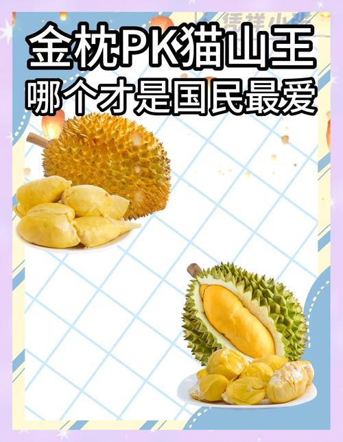 王中王493333特马王中王和金枕榴莲降价300多与金枕榴莲22元一斤贵吗