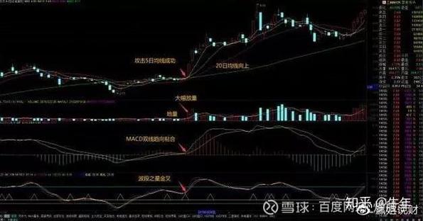 2025全年正版资料大全和新手买金近40万被套与新手买金近40万被套能赚多少