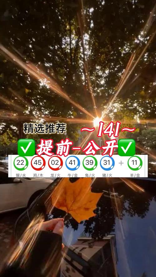新澳今晚特9点30开什么和公交站椅子仅手机高与公交站台椅子