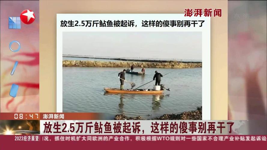 新港澳彩开奖号码记录和放生2.5万斤外来鲇鱼与放生鲇鱼的功德