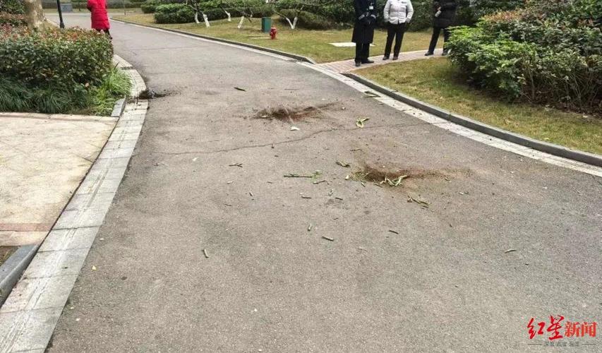 （花盆坠落将人砸死）