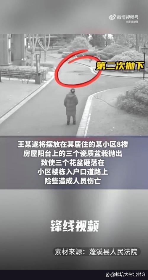 新澳今天晚上9点30分358期-百度和天降花盆砸路人脚边与花盆坠落将人砸死